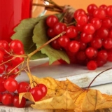 Šta kuhati od crvene viburnuma: recepti